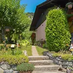 Romantic In Real Nature *