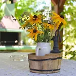Romantic In Real Nature Holiday home