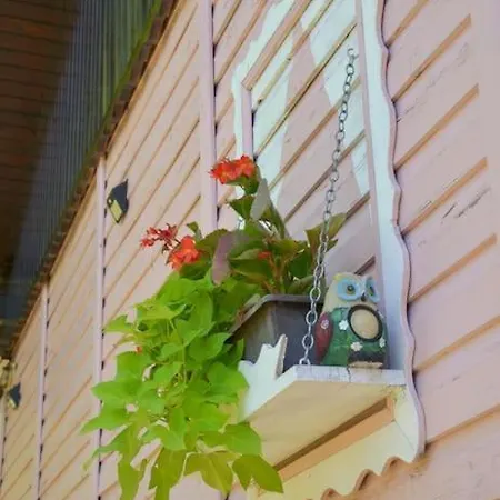 Holiday home Romantic In Real Nature Radece