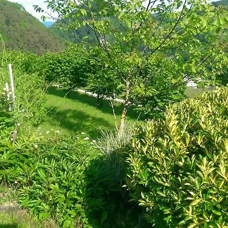 Romantic In Real Nature Holiday home Radece