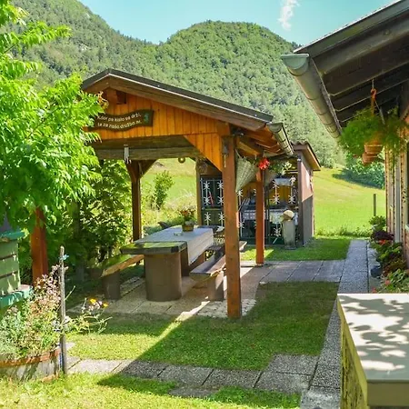 Romantic In Real Nature Radece