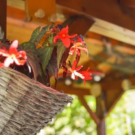 Holiday home Romantic In Real Nature